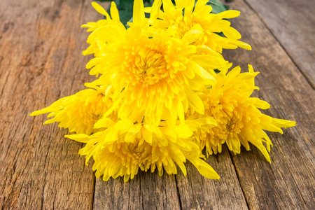 concept flowers on wooden table with copy space for word or textの写真素材