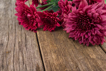 concept flowers on wooden table with copy space for word or textの写真素材