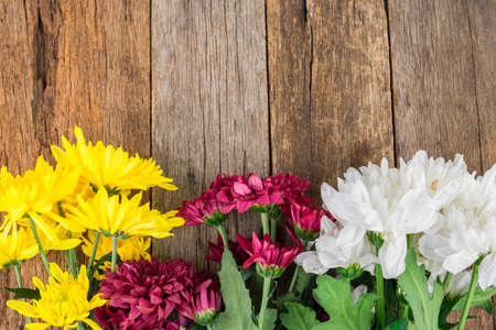 concept flowers on wooden table with copy space for word or textの写真素材