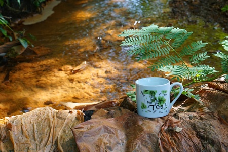 enjoy a cup of hot coffee on the banks of the river freshの写真素材