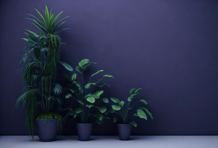 3d render of a houseplant in a pot. Dark blue wall background.の写真素材