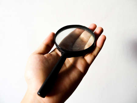 green leaves on a white backgroundの写真素材