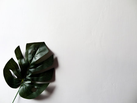 green leaves on a white background
