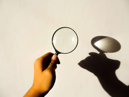 green leaves on a white backgroundの写真素材