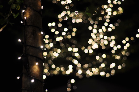 Garden light blur bokeh, defocused background.の写真素材
