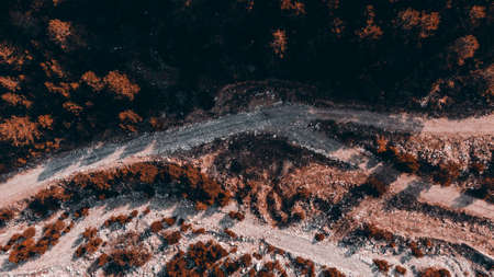 Aerial drone view of a dirt road in the middle of a forest.の写真素材