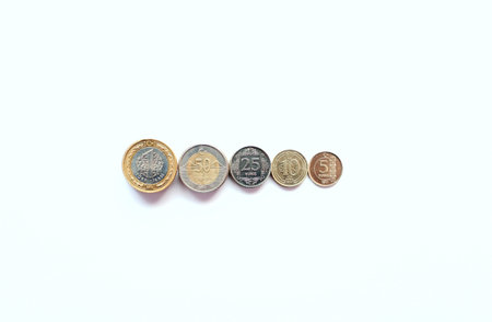 All Turkish Coins on white background