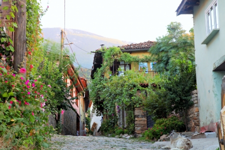 Old Houses in Cumalikizik Village in Bursa, Turkey  の写真素材