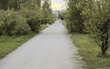 Perspective view on asphalt pavement rounded by green bushes