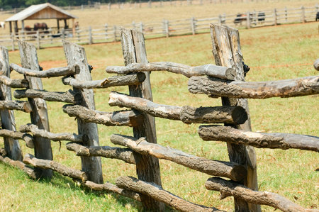 Photo of cattle paddock fence part with cow paddock at the backgroundの写真素材