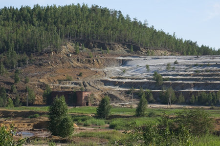 View on a deserted quarry overgrown grass and bushesの写真素材