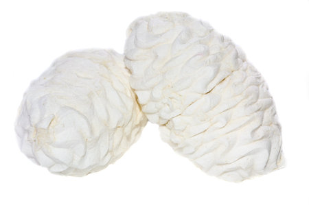 Photo of marsh-mallow isolated on white background