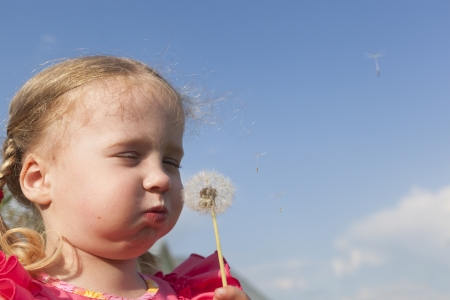 Little girl blowing a dandelionの写真素材
