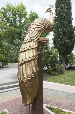 Symbol of pension  Green Guy  - a peacock  Tuapseの写真素材