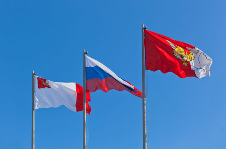 Flags city of Vologda, Russia, Vologda regionの写真素材
