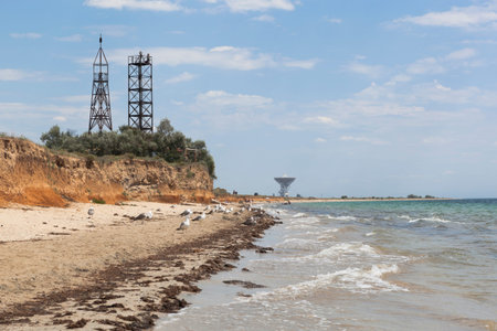 Seagulls on the beach of the Vitino village of the Saksky district, Republic of Crimea, Russiaのeditorial素材