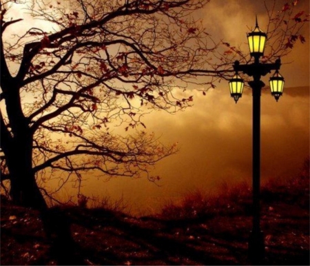 Evening Lightsの写真素材
