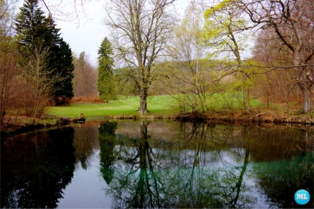 Reflectionの写真素材