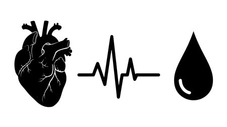 Human heart with cardiogram and blood drop. Vector illustration.のイラスト素材