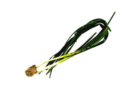 Leeks are widely used as a food flavoring. However, some people actually avoid scallions because of the unpleasant aroma. In fact, leeks have a myriad of benefits that should not be underestimated.の写真素材