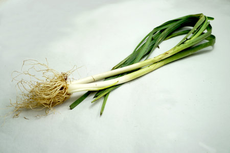 Leeks are widely used as a food flavoring. However, some people actually avoid scallions because of...