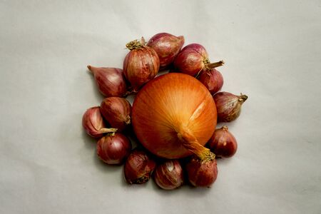 Onion is a general term for a group of important plants for humans that belong to the genus Allium. Bulbs, leaves, or onions are used as vegetables or as spices, depending on how we look at them.の写真素材