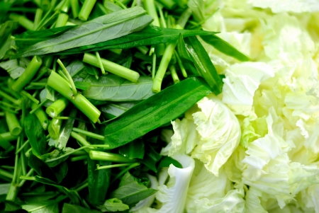 vegetables greenの写真素材