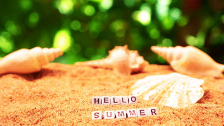 Hello summer text from letter cubes on sandy beach with seashellsの写真素材