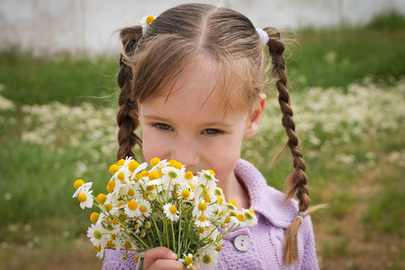 	Girl smells chamomileの写真素材