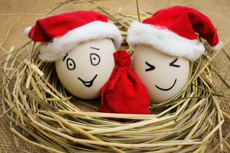 Happy eggs at Christmasの写真素材