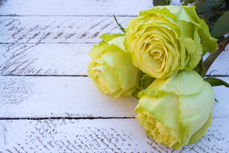yellowgreen roses on wooden backgroundの写真素材