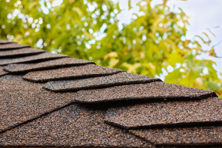 roof of house on background of sky and tree