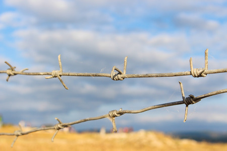 barbed wire on a background of blue cloudy sky and the yellow fieldsの写真素材