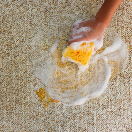 Female hand cleans the carpet with a sponge and detergent.の写真素材