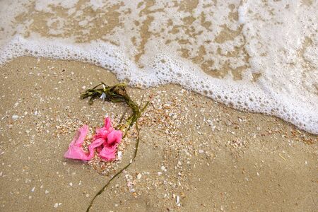 Plastic bag on sea. Concept of environment pollution. Garbage. Dirty beach.の写真素材