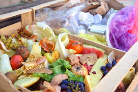 Different trash. Garbage sorting: iron, paper, plastic, domestic waste for compost from fruits and vegetables.の写真素材