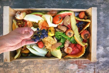 Female hand throws trash. Garbage sorting. Domestic waste for compost from fruits and vegetables.の写真素材