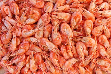 Background a lot of shrimp. Top view.の写真素材