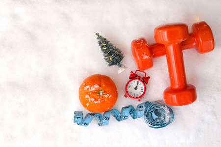 Concept to succeed in sport in new year on a white background. Top view. Flat lay. Space for text.の写真素材