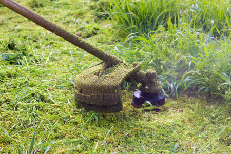 A man mows the lawn with a trimmer.