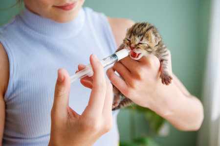 A newborn kitten drinks milk from a syringe. artificial feeding.の写真素材