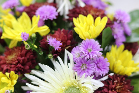 background of fresh flower bouquets of beautiful mixed types of daisies used to beautify the roomの写真素材