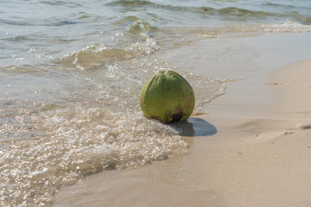 Coconut tropical drink on the white sand beach