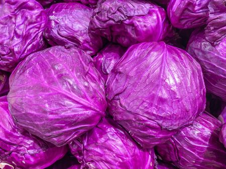 Fresh violet cabbage for sale at grocery marketの写真素材