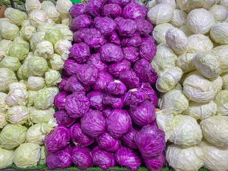 Violet and green cabbages at supermarket for healthy conceptの写真素材