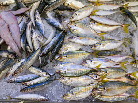 Assortment of fish on frozen ice for sale at seafood market