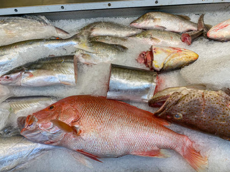 Frozen carp fish on ice for sale at seafood stall in supermarket