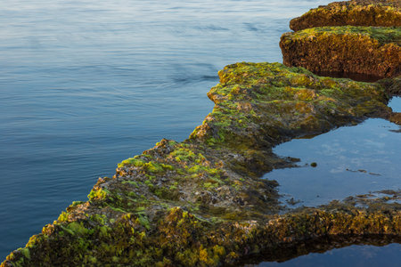Cliff by the sea covered by green moss and algae