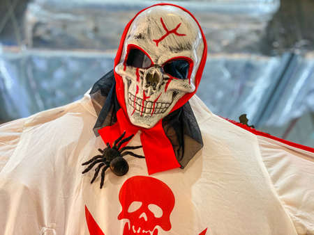 Close-up photo of halloween items, skullcap face and spiderの写真素材