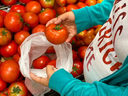 Pregnant woman choosing tomatoes at grocery storeの写真素材